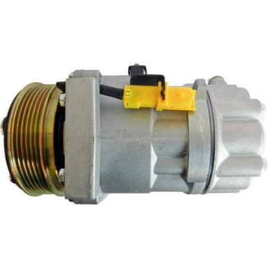 Mahle Kompressor, Klimaanlage BEHR ACP 384 000S