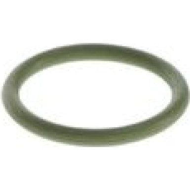 BOSCH Dichtring F 00N 200 048