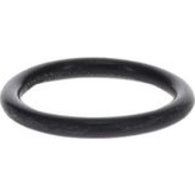 BOSCH Dichtung, Rahmen Hauptscheinwerfer 1 420 210 028