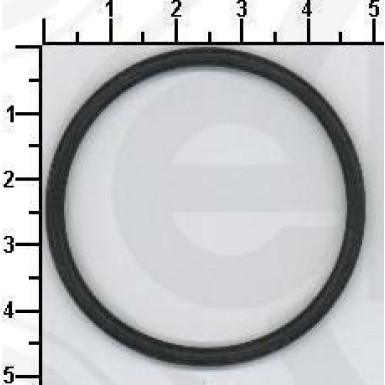 Dichtring 621.640 Dichtring 621.640