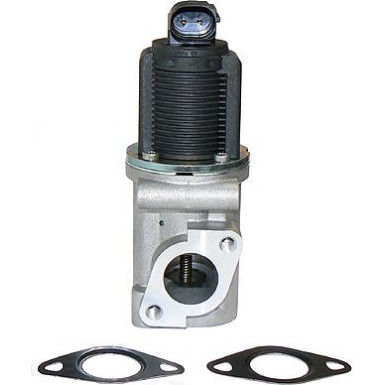 Metzger AGR-Ventil 0892039