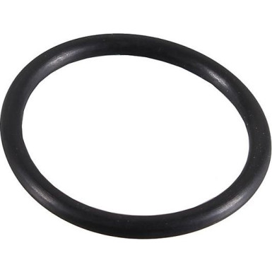 Metzger Dichtring 2430032