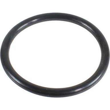 Metzger Dichtring 2430113