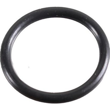 Metzger Dichtring 2430039