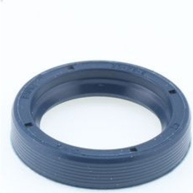 Dichtring 12001989B
