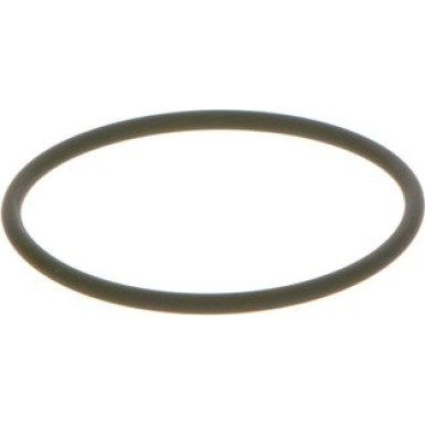 BOSCH Dichtring F 00N 202 130
