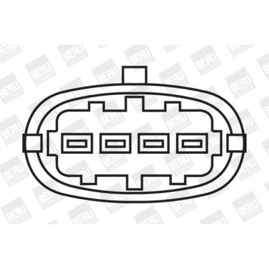 BorgWarner (BERU) Zündspule ZS306