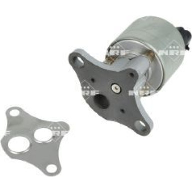 NRF AGR-Ventil 48719