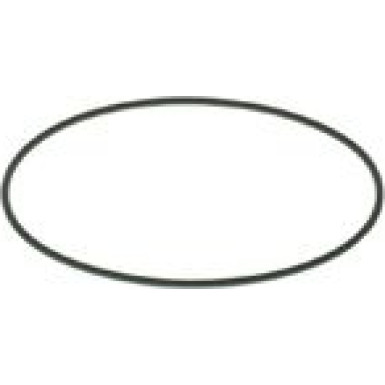 BOSCH Dichtring F 00N 201 204