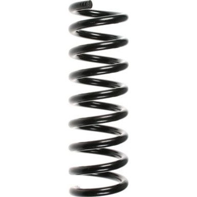 Spidan Fahrwerksfeder 55750