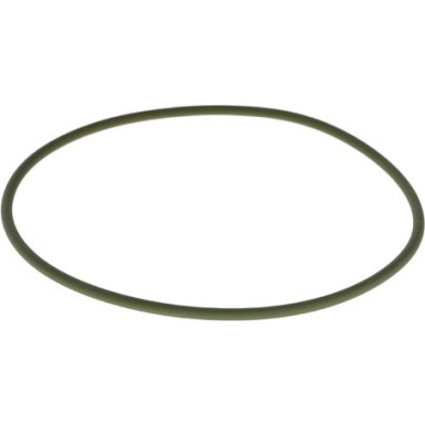 BOSCH Dichtring F 00R 0P0 341