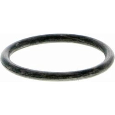 Kühlmittelflansch V10-2542 Kühlmittelflansch V10-2542