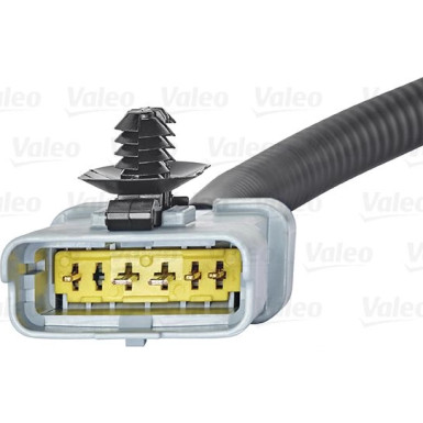 Valeo AGR-Ventil 700412