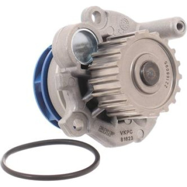SKF Wasserpumpe Aquamax VKPC 81623