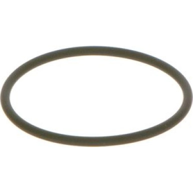 BOSCH Dichtring F 00N 202 130