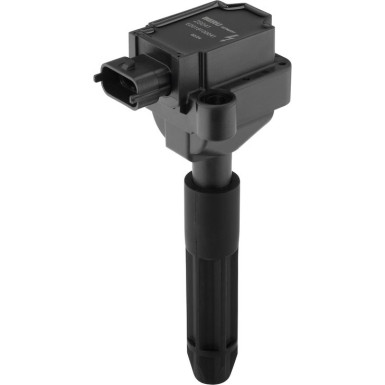 BorgWarner (BERU) Zündspule ZS041