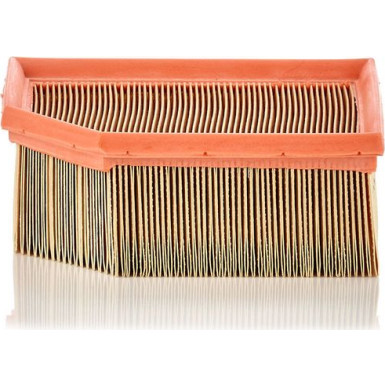MANN-FILTER C 1995 Luftfilter