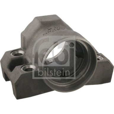 FEBI BILSTEIN 29387 Lagerung, Blattfeder