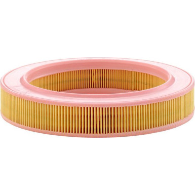 Luftfilter C 2540