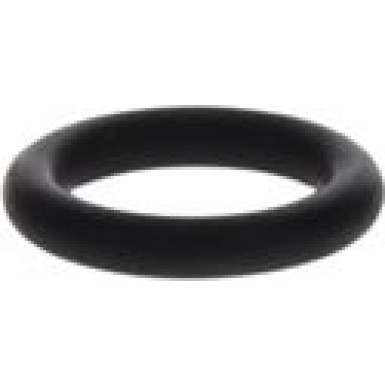 BOSCH Dichtring 1 460 210 301