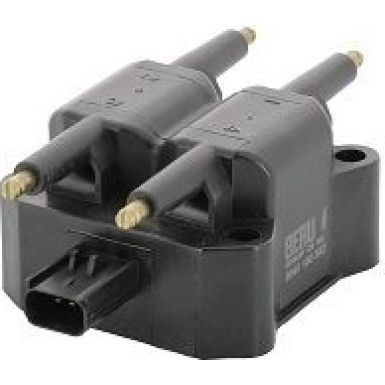 BorgWarner (BERU) Zündspule ZS382