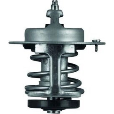 Mahle Thermostat, Kühlmittel BEHR TX 69 79