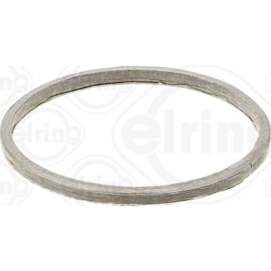 Dichtring 738.820 Dichtring 738.820
