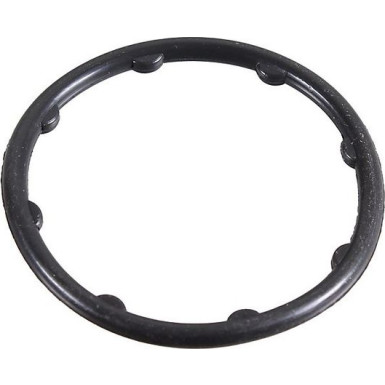 Metzger Dichtring 2430111
