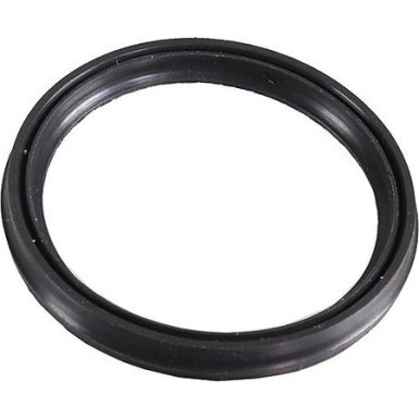 Metzger Dichtring 2430064