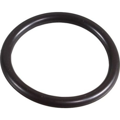 Metzger Dichtring 2430109