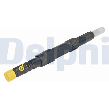 Delphi Einspritzventil R00501Z