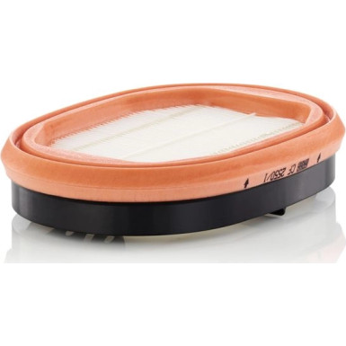 Mann-Filter Sekundärluftfilter CF 2550/1