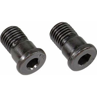 Metzger Schraube, Bremsscheibe 2 Stück 11666K
