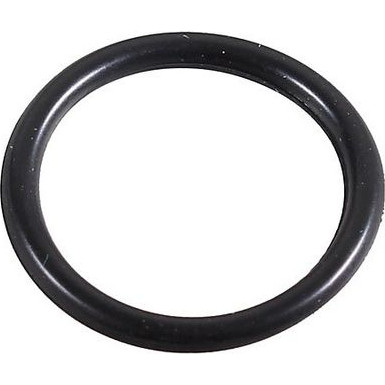 Metzger Dichtring 2430070