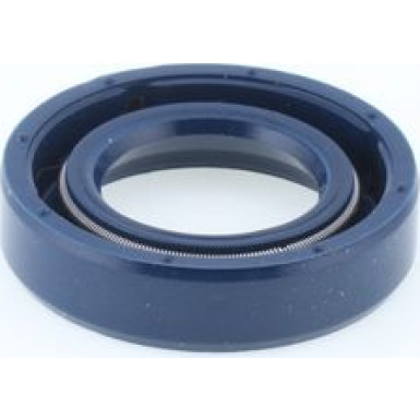 Dichtring 12010808B