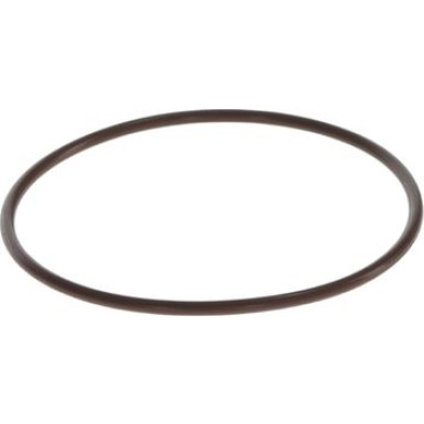 BOSCH Dichtring F 00N 201 473