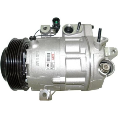 Kompressor, Klimaanlage ACP 443 000P Kompressor, Klimaanlage ACP 443 000P