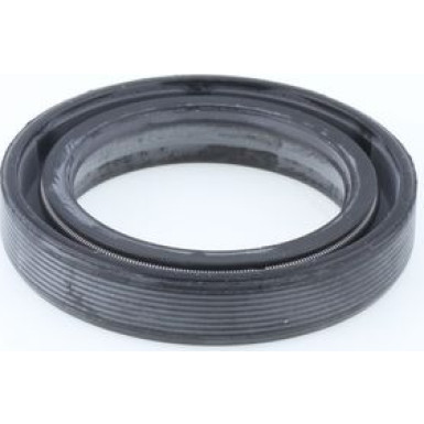 Dichtring 01018101B