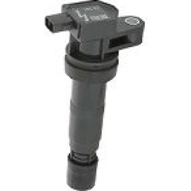 BorgWarner (BERU) Zündspule ZS531