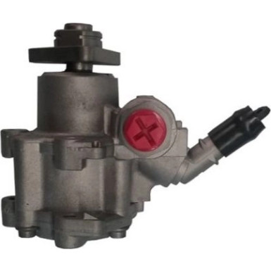 Hydraulikpumpe, Lenkung 54963 Hydraulikpumpe, Lenkung 54963