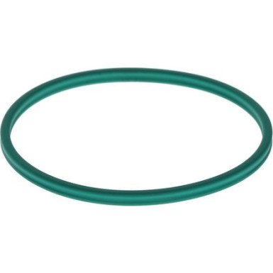 BOSCH Dichtung, Rahmen Hauptscheinwerfer F 00N 200 053