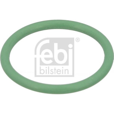 Dichtring 1001689 Dichtring 1001689