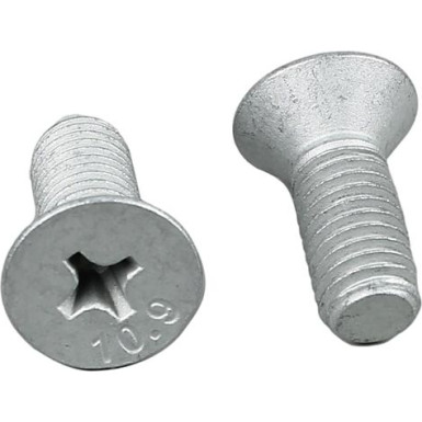Metzger Schraube, Bremsscheibe 11676K