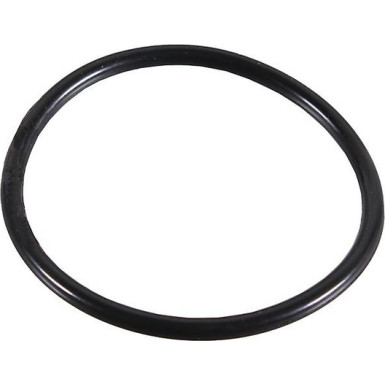 Metzger Dichtring 2430038