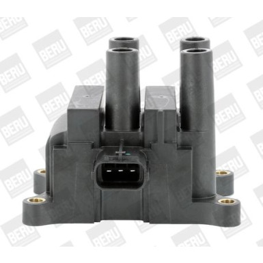 BorgWarner (BERU) Zündspule ZS556