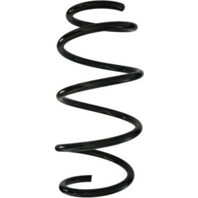 Spidan Fahrwerksfeder 87889