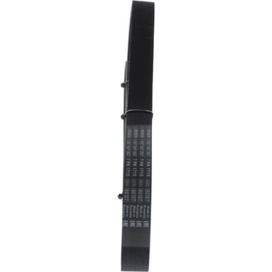 BOSCH Keilrippenriemen 1 987 947 557
