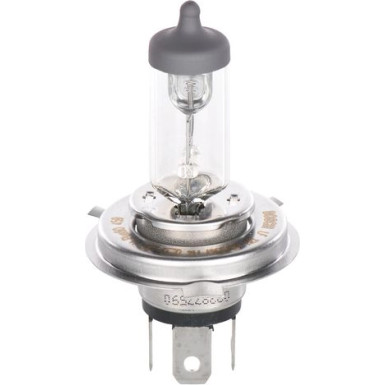 BOSCH Glühlampe, Fernscheinwerfer Plus 50 WS 1 987 302 049