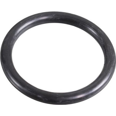 Metzger Dichtring 2430065