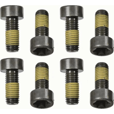 Sachs Schraubensatz, Schwungrad 1874 000 058